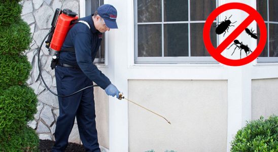 Doğanşar Fare İlaçlama böcek ilaçlama ve haşere kontrolü — ilaclama-tr.com